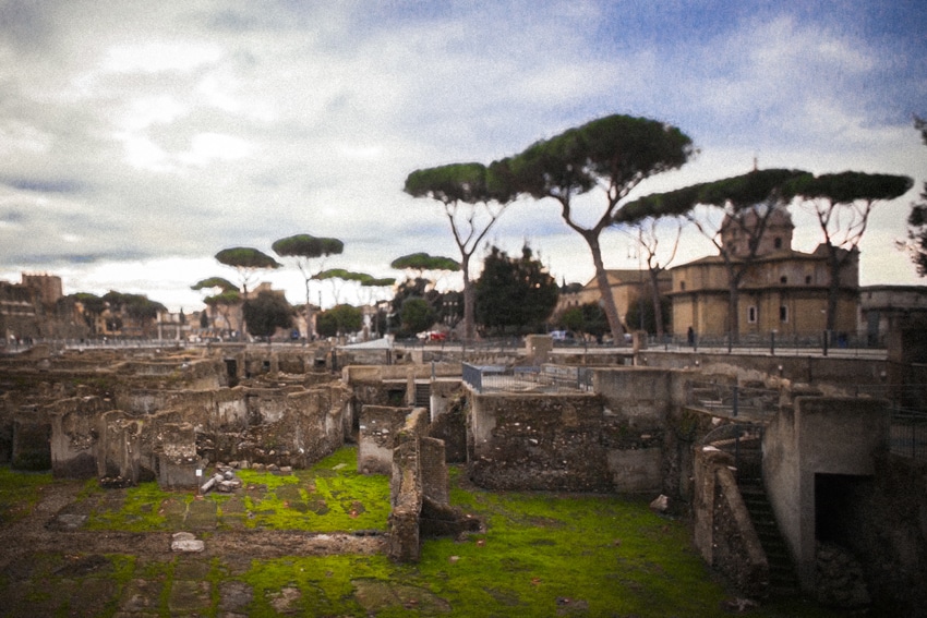 © Nicolas Gornas © Nicolas Gornas