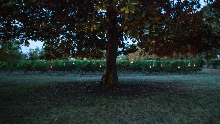 © Nicolas Gornas © Nicolas Gornas