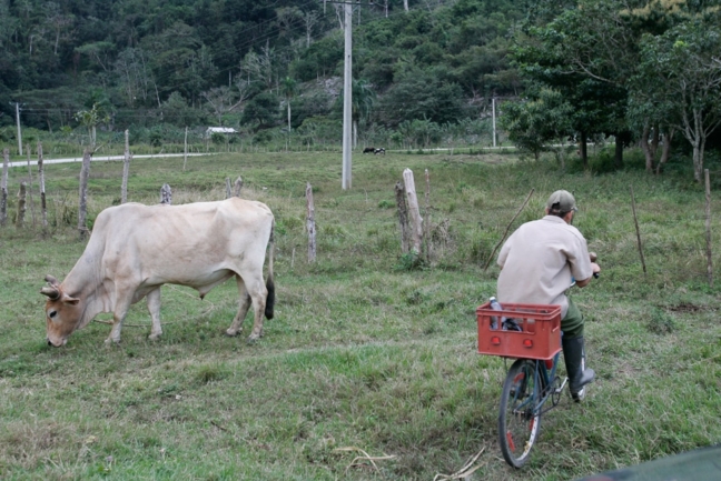 © Nicolas Gornas © Nicolas Gornas