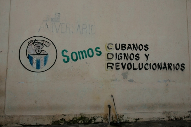 © Nicolas Gornas © Nicolas Gornas