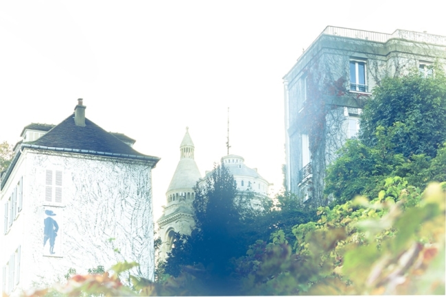 © Nicolas Gornas © Nicolas Gornas