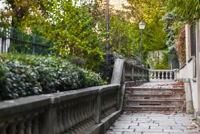 © Nicolas Gornas © Nicolas Gornas