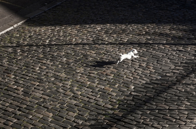 © Nicolas Gornas © Nicolas Gornas