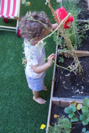 © Nicolas Gornas © Nicolas Gornas