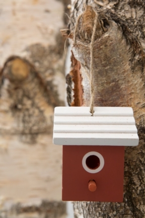 © Nicolas Gornas © Nicolas Gornas