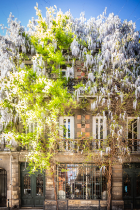 © Nicolas Gornas © Nicolas Gornas