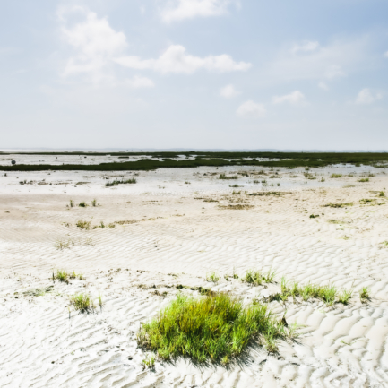 © Nicolas Gornas © Nicolas Gornas