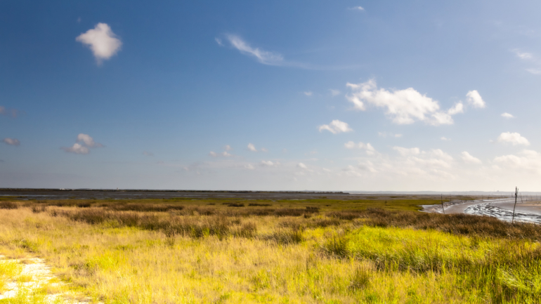 © Nicolas Gornas Photographe sur le Bassin d’Arcachon, Gironde