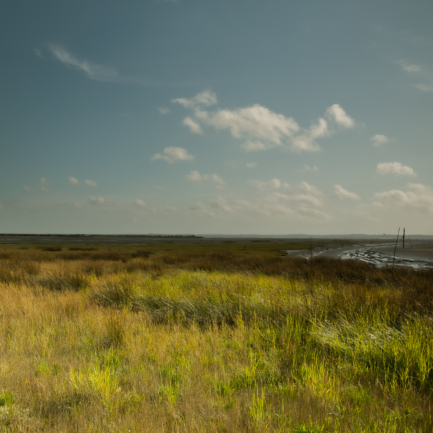 © Nicolas Gornas photographe bassin d'arcachon