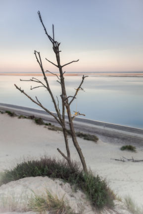 © Nicolas Gornas © Nicolas Gornas