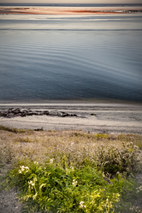 © Nicolas Gornas © Nicolas Gornas