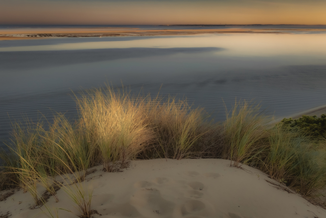 © Nicolas Gornas © Nicolas Gornas