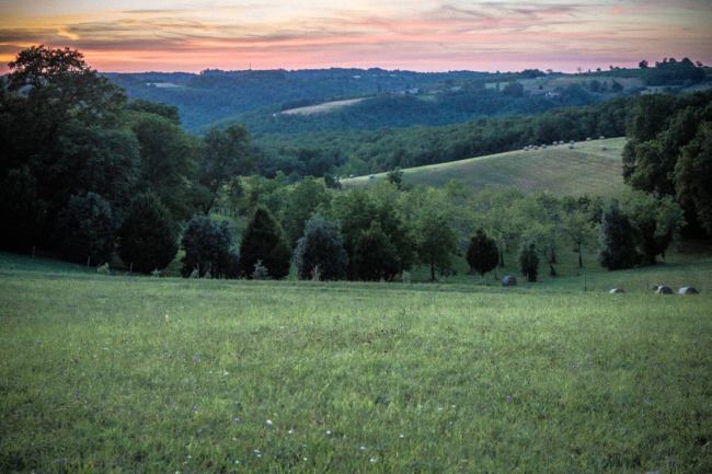 Paysages Périgord Noir © Nicolas Gornas