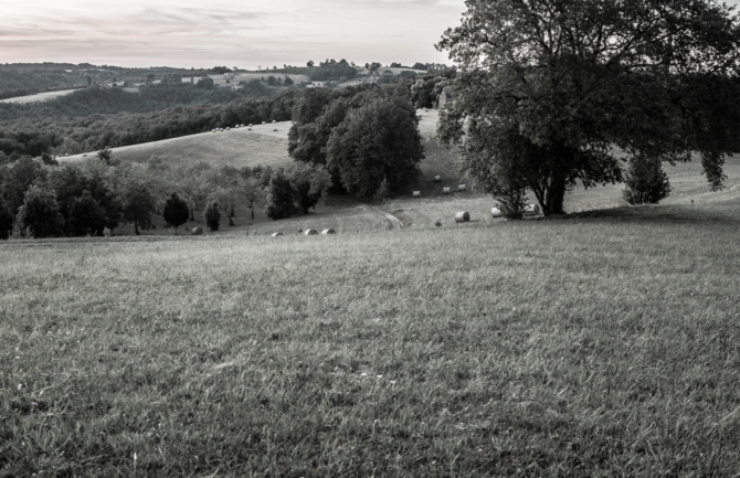 Paysages Périgord Noir © Nicolas Gornas