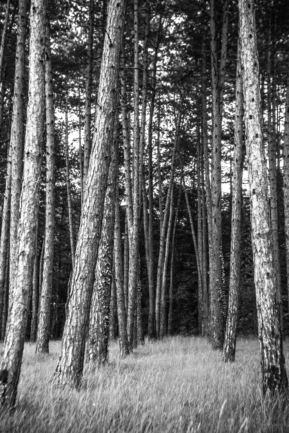 Paysages Périgord Noir © Nicolas Gornas