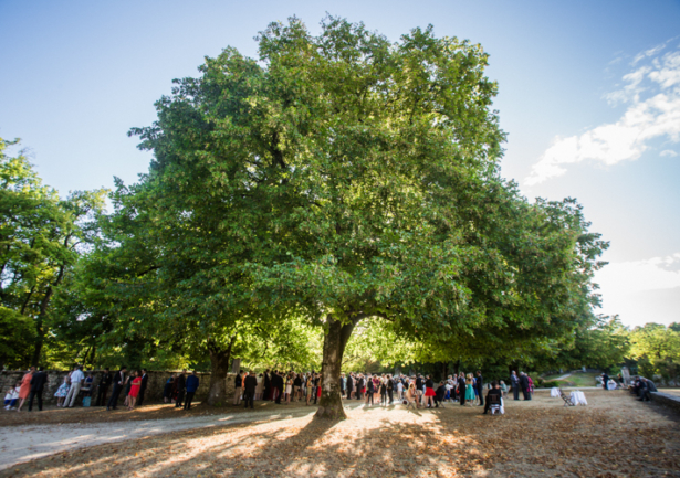 © Nicolas Gornas © Nicolas Gornas