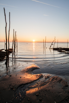 © Nicolas Gornas © Nicolas Gornas