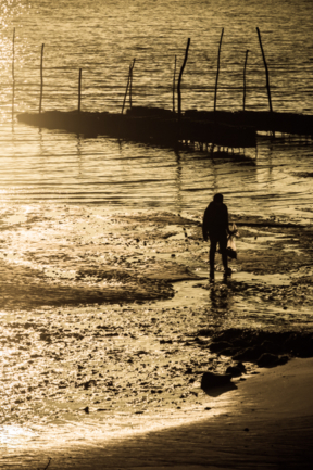 © Nicolas Gornas © Nicolas Gornas