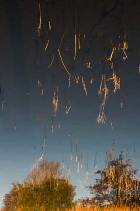 © Nicolas Gornas © Nicolas Gornas