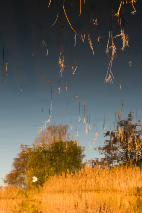 © Nicolas Gornas © Nicolas Gornas