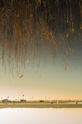 © Nicolas Gornas © Nicolas Gornas