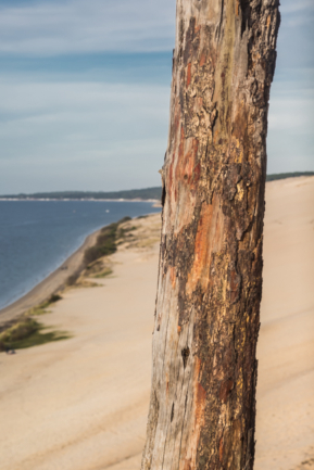 © Nicolas Gornas © Nicolas Gornas