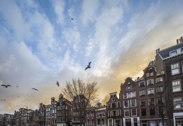 © Nicolas Gornas © Nicolas Gornas