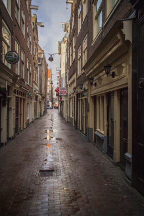 © Nicolas Gornas © Nicolas Gornas