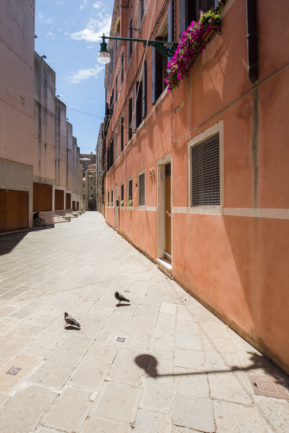 © Nicolas Gornas © Nicolas Gornas