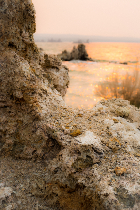 © Nicolas Gornas © Nicolas Gornas