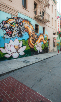 © Nicolas Gornas © Nicolas Gornas