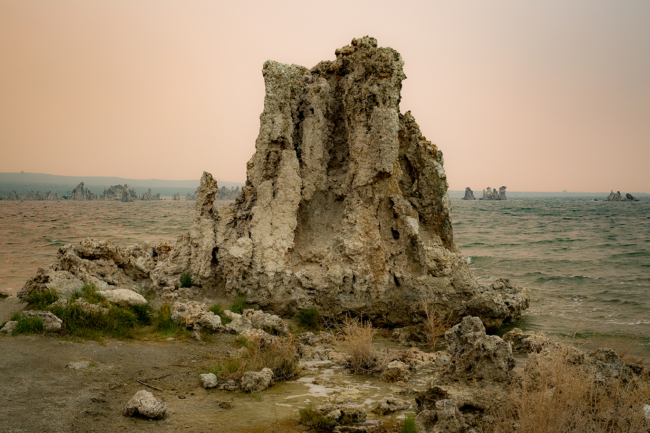 © Nicolas Gornas © Nicolas Gornas