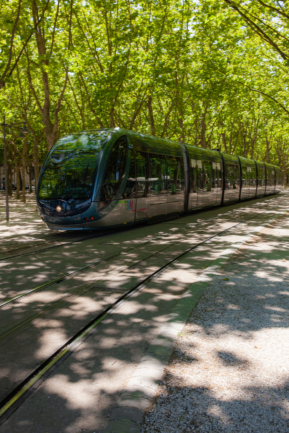 © Nicolas Gornas © Nicolas Gornas