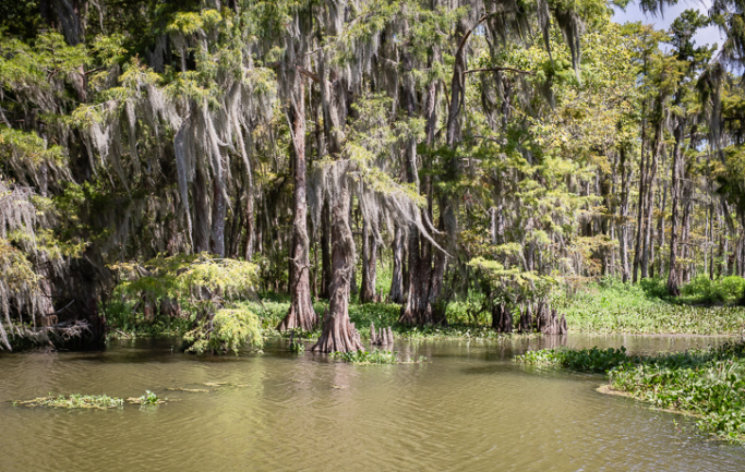 A7A2756 copie A7A2756 copie