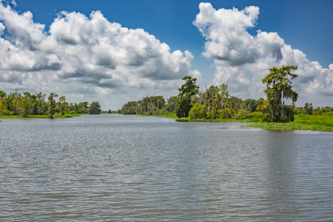 A7A2770 copie A7A2770 copie