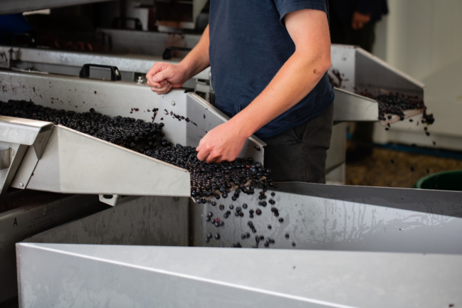 CDWSAJ1 270923 BAT 229 CDWSAJ1 270923 BAT 229