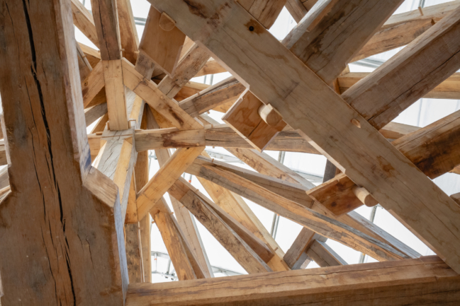 © Nicolas Gornas © Nicolas Gornas