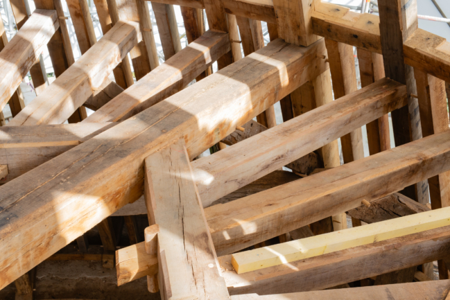 © Nicolas Gornas © Nicolas Gornas