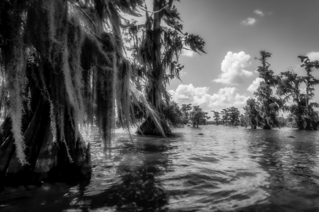 PM5A1262 Modifier copie PM5A1262 Modifier copie