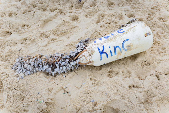 LA7A9734 Photographe paysage